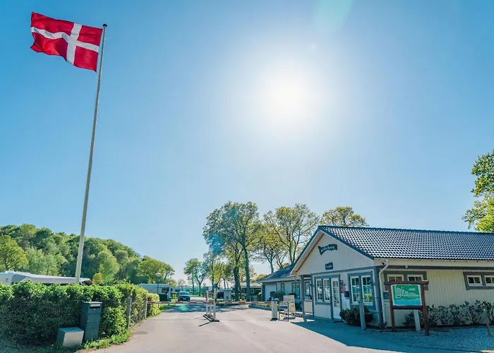 Noordwind Galsklint *